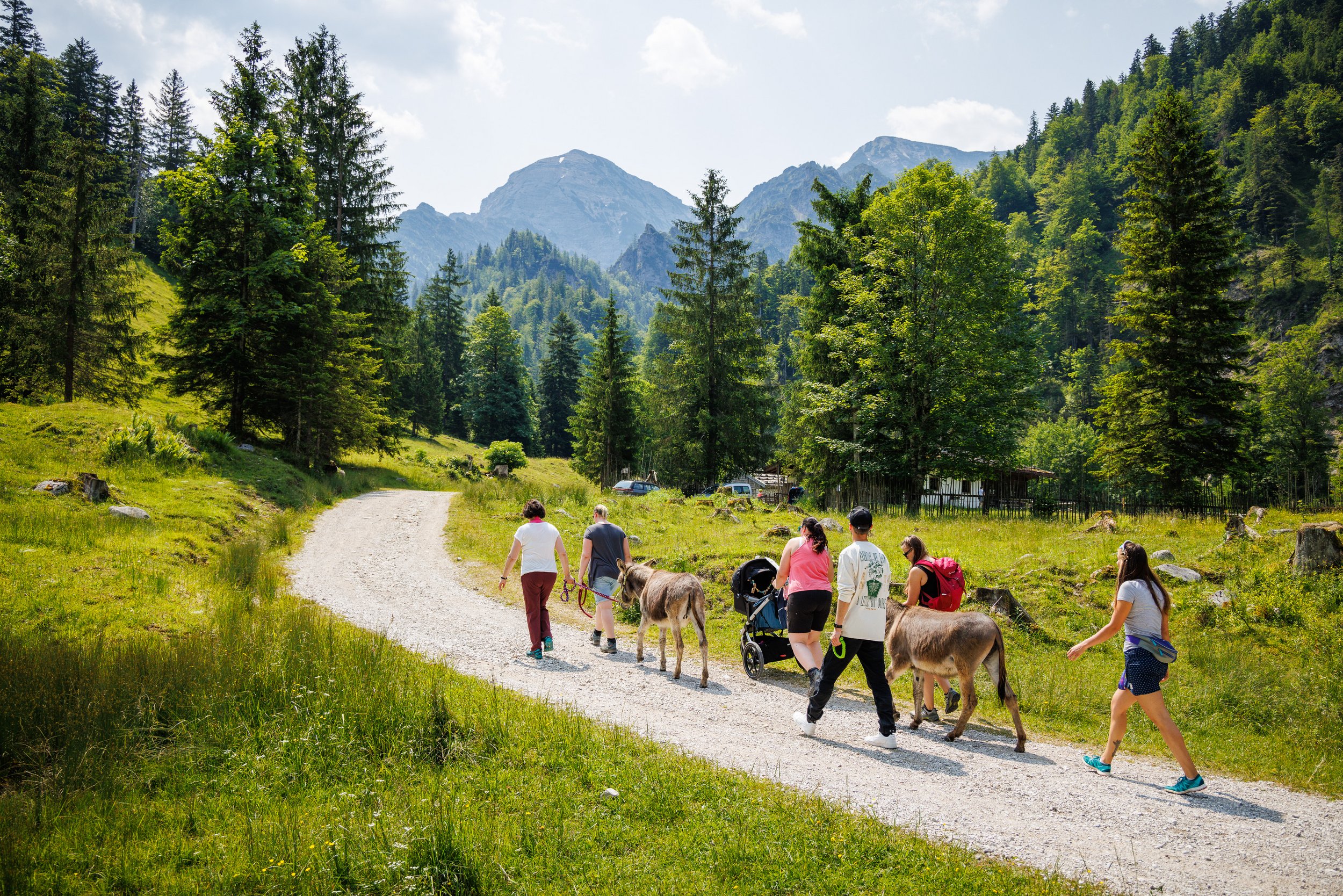 Eselwanderung auf die Schwarzachenalm