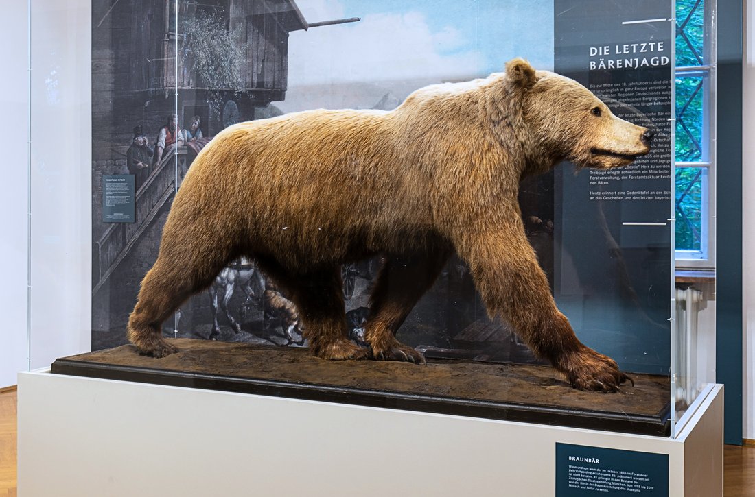 Heimatmuseum Ruhpoldinger Bär
