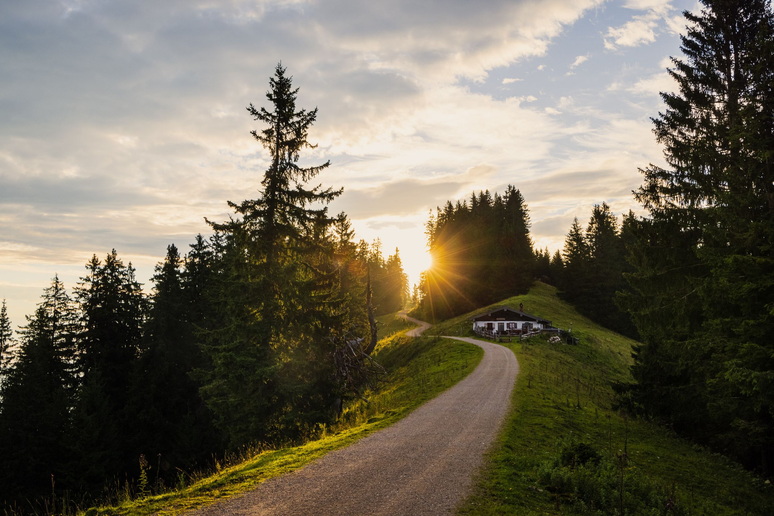 Boider Alm Unternberg