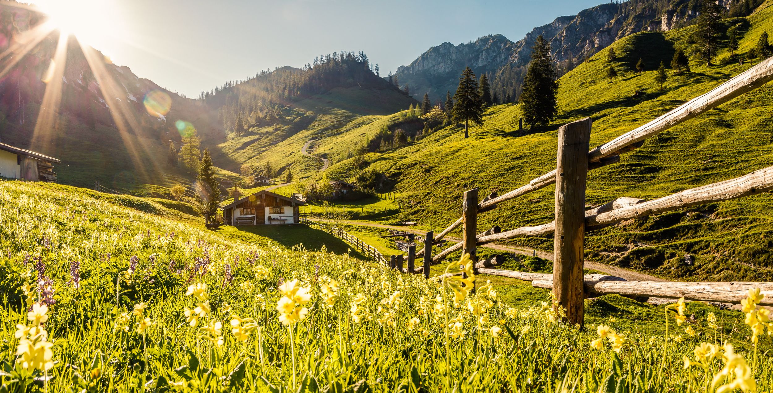 Thorau Almen in Ruhpolding